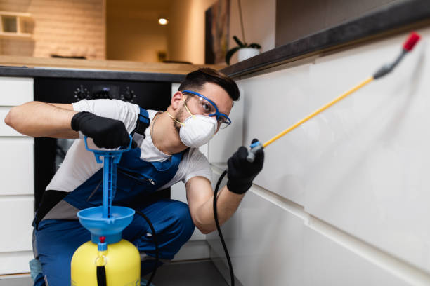 Best Affordable Pest Control Services  in Veneta, OR