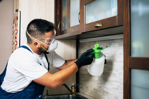 Flea Control Services in Veneta, OR