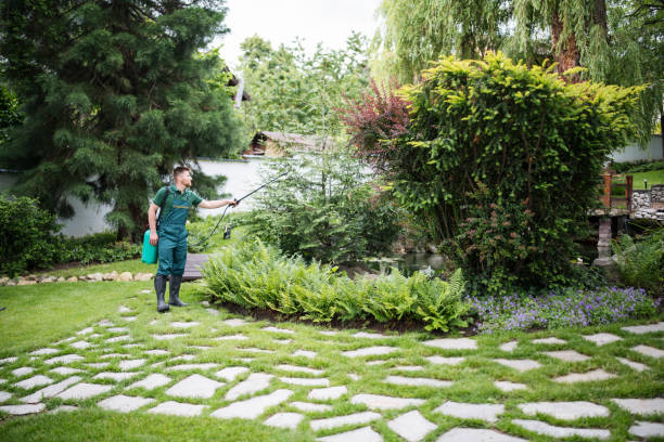 Best Best Pest Control Companies  in Veneta, OR