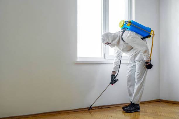 Best Pest Removal Services  in Veneta, OR