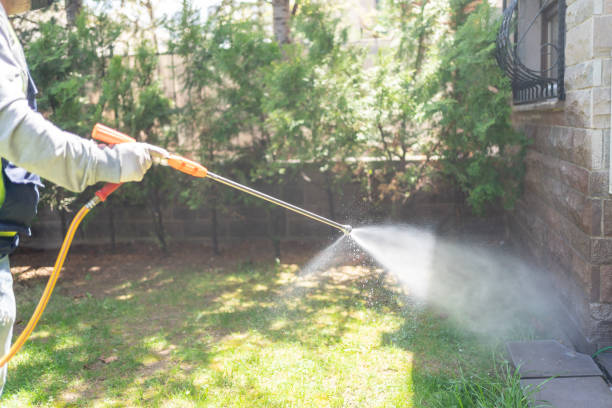 Best Pest Prevention Services  in Veneta, OR