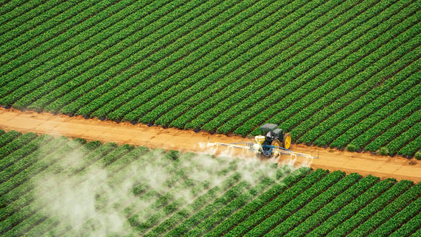 Pest Prevention Services in Veneta, OR