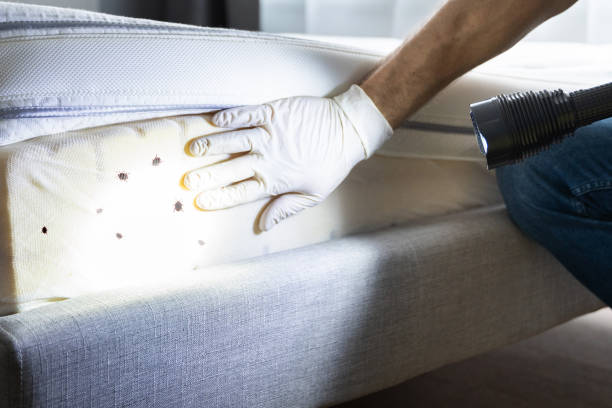 Best Exterminator Services  in Veneta, OR